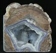 Dugway Geode Bookends - Sparking Crystals #33199-1